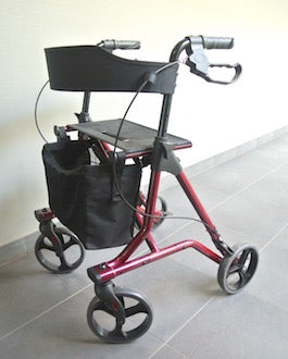 Rollator Neo StrongDalayrac