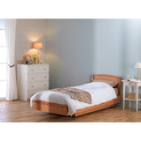 Lit releveur, lit m&eacute;dical Fortissimo-Gamme comfort -Releve Jambe electrique -120cm et potence incluse .lit medicalDalayrac